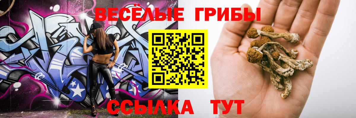 Славгород  Галлюциногенные грибы Magic Shrooms  Галлюциногенные грибы мухоморы  Вход с VPN 
