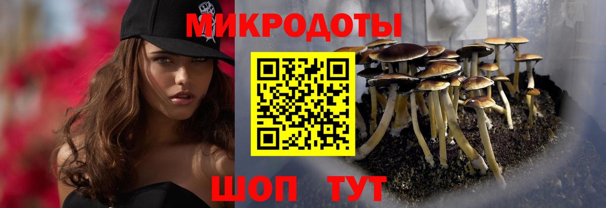 ТГК Славгород